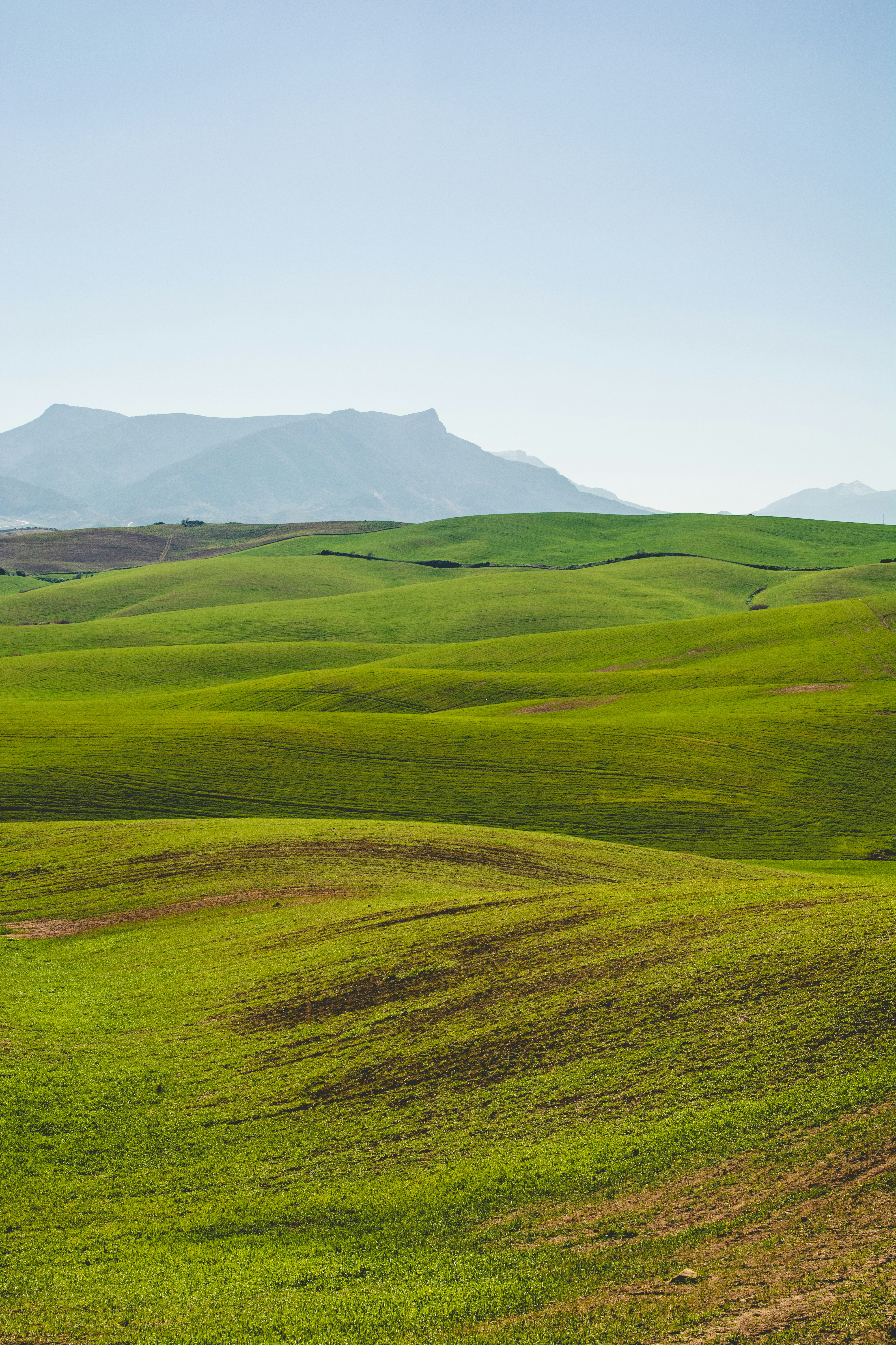 land purpose
